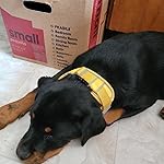 Review Image by Rachel Peters Rachel Peters