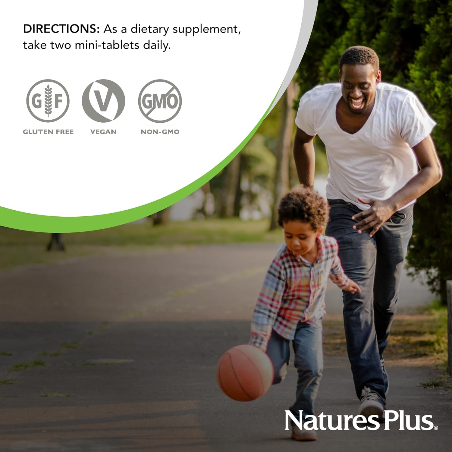 NaturesPlus Hema-Plex Iron - 60 Slow-Release Mini-Tabs - 2 Pack - 85 mg Chelated Iron - Total Blood Health - with Vitamin C & Bioflavonoids - Vegan, Gluten Free - 60 Total Servings