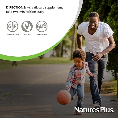 Miniatura 5 de NaturesPlus Hema-Plex Iron - 60 mini pestañas, paquete de 2-85 mg de hierro elemental + vitamina C y bioflavonoides para glóbulos rojos saludables -