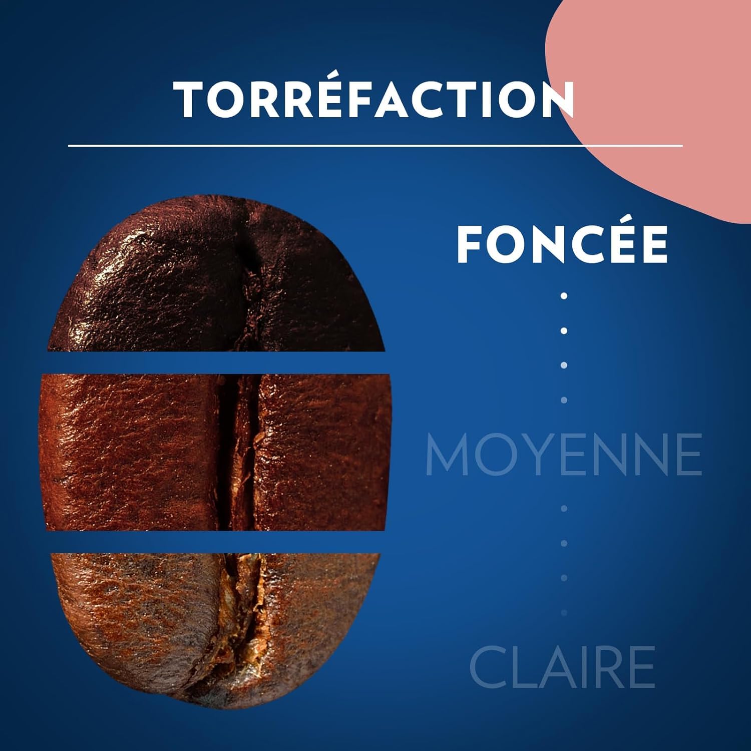 Lavazza - Lot de 4Kg de café en grain Momento Vivace - Idéal pour les Machines à Café Automatiques, avec Notes Épicées, Arabica et Robusta, Intensité 9/10, Torréfaction Foncée