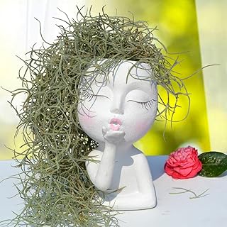 JYTTI Face Vase, Face Flower Pot Head Planter, Planters for Indoor Plants, Small Plant Pots, Plant Pot with Drainage, Succulent Flower Pots, Modern Vase Decor, for Women(Kiss vases White)