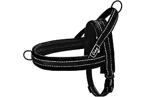 Mesmerizing Didog Harness: Securing Your Canine Companion Effortlessly