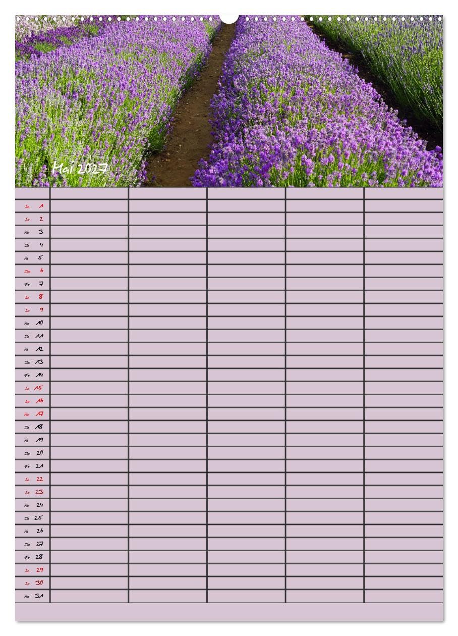 CALVENDO - Naturzauber Lavendel - Familienplaner (hochwertiger Premium Wandkalender 2027 DIN A2 hoch), Kunstdruck in Hochglanz: Lavendel in England mit unterschiedlichen Farbnuancen.