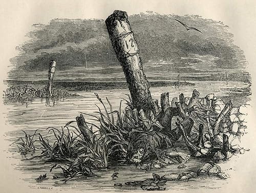 Posterazzi DPI1958552LARGE Daniel Quilp es lavado en la costa. from The Old Curiosity Shop by Charles Dickens - Impresión fotográfica (12.6 x 9.4