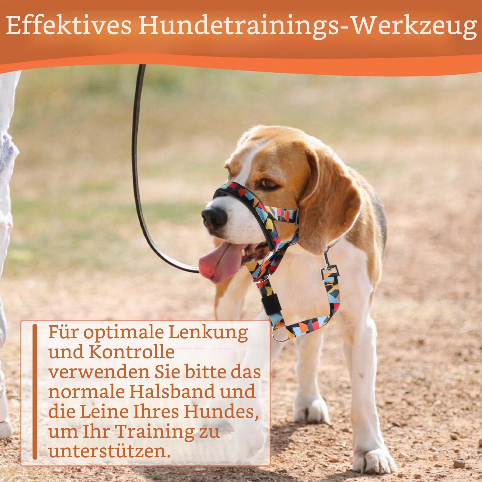 Hundehalfter, FainFun Hunde Kopfhalfter, Kopfgeschirr Hund, Halfter für Hunde, Hundehalfter für Große Hunde, Verhinderung des gefährlichen Ziehens von Hunden auf Spaziergängen(L)