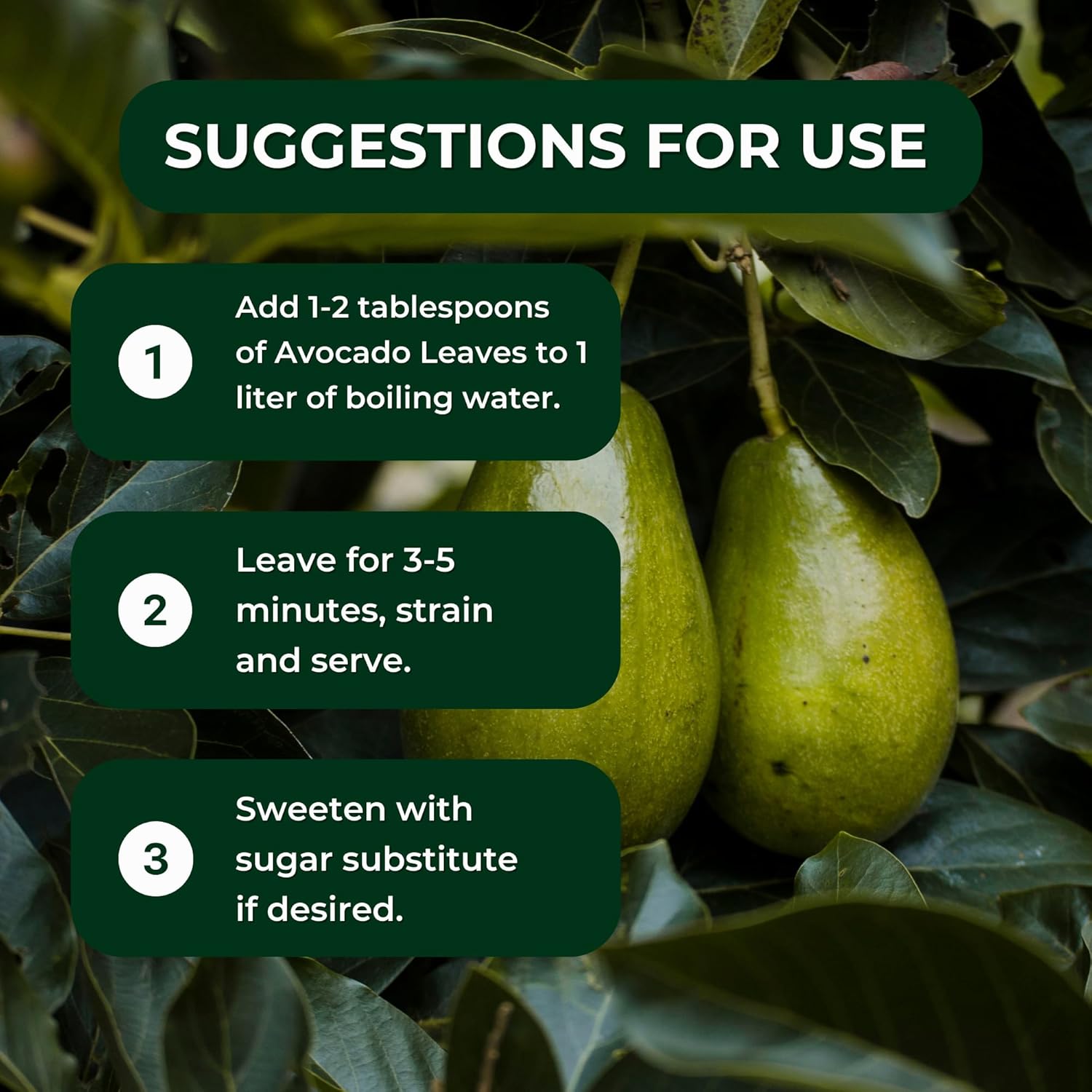 Hanan Avocado Leaves – 0.85 oz (24g) – Dried Loose Leaf Palta/Aguacate Herbal Tea from Peru – 100% Natural Leaves from Peru for Herbal Tea Supplement - Image 4