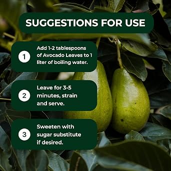 Hanan Avocado Leaves 0.85 oz (24g) Dried Loose Leaf Palta/Aguacate Herbal Tea from Peru 100% Natural Leaves from Peru for Herbal Tea Supplement