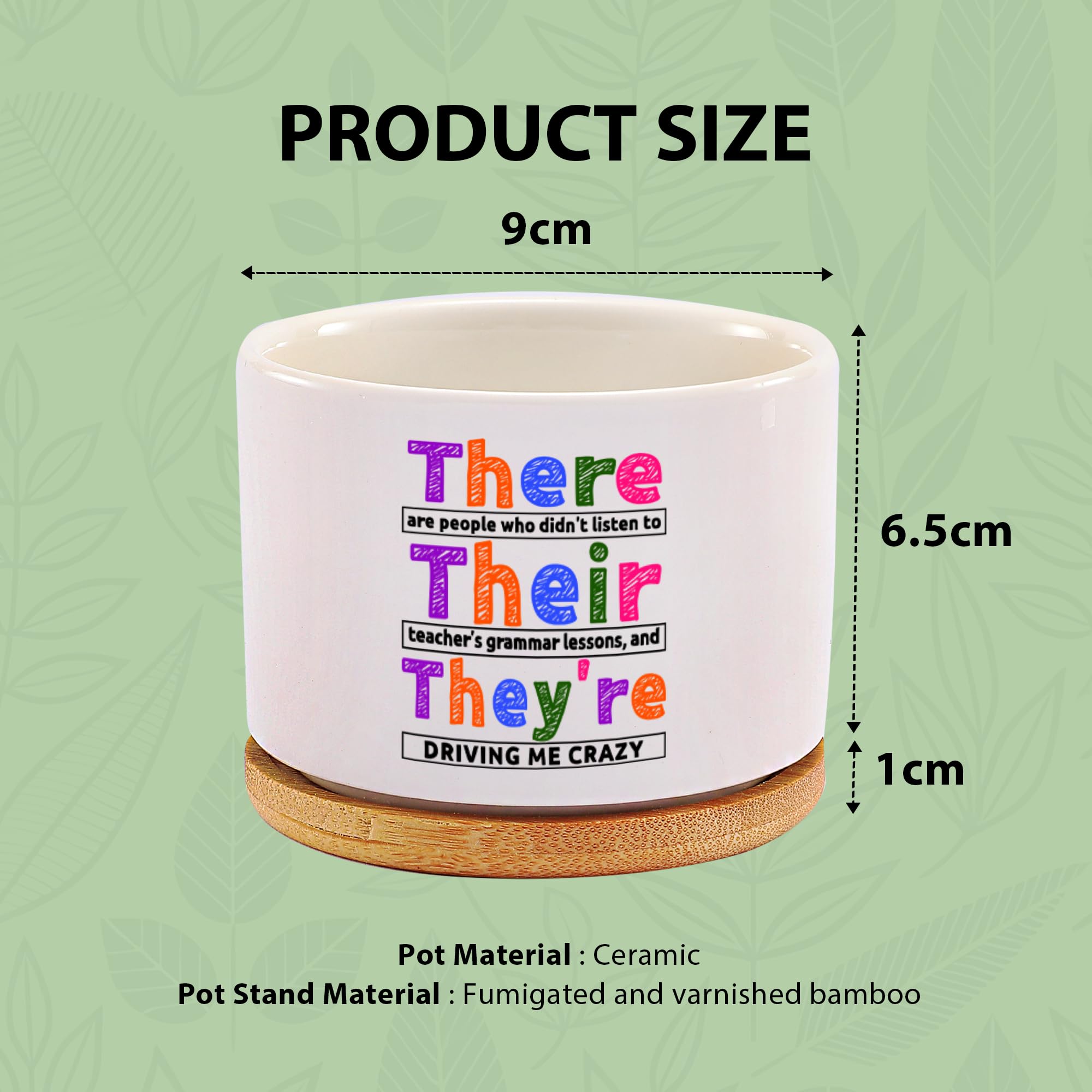 There Their They're Grammar English Teacher Gifts Editors Writers Teacher Appreciation Day Gifts Ceramic Succulent Plant Pot with Bamboo Tray Round Home Office Decor 3.5 Inch White (No Plants)