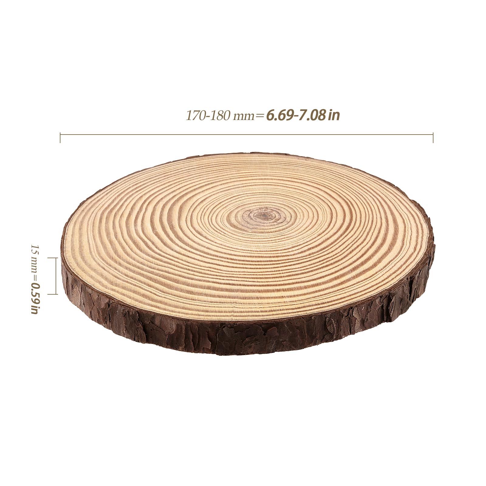 12 fette di legno naturale da 17-18 cm, senza foro, cerchi in legno non finiti per arti, artigianato, fai da te, sottobicchieri, decorazioni, ornamenti natalizi
