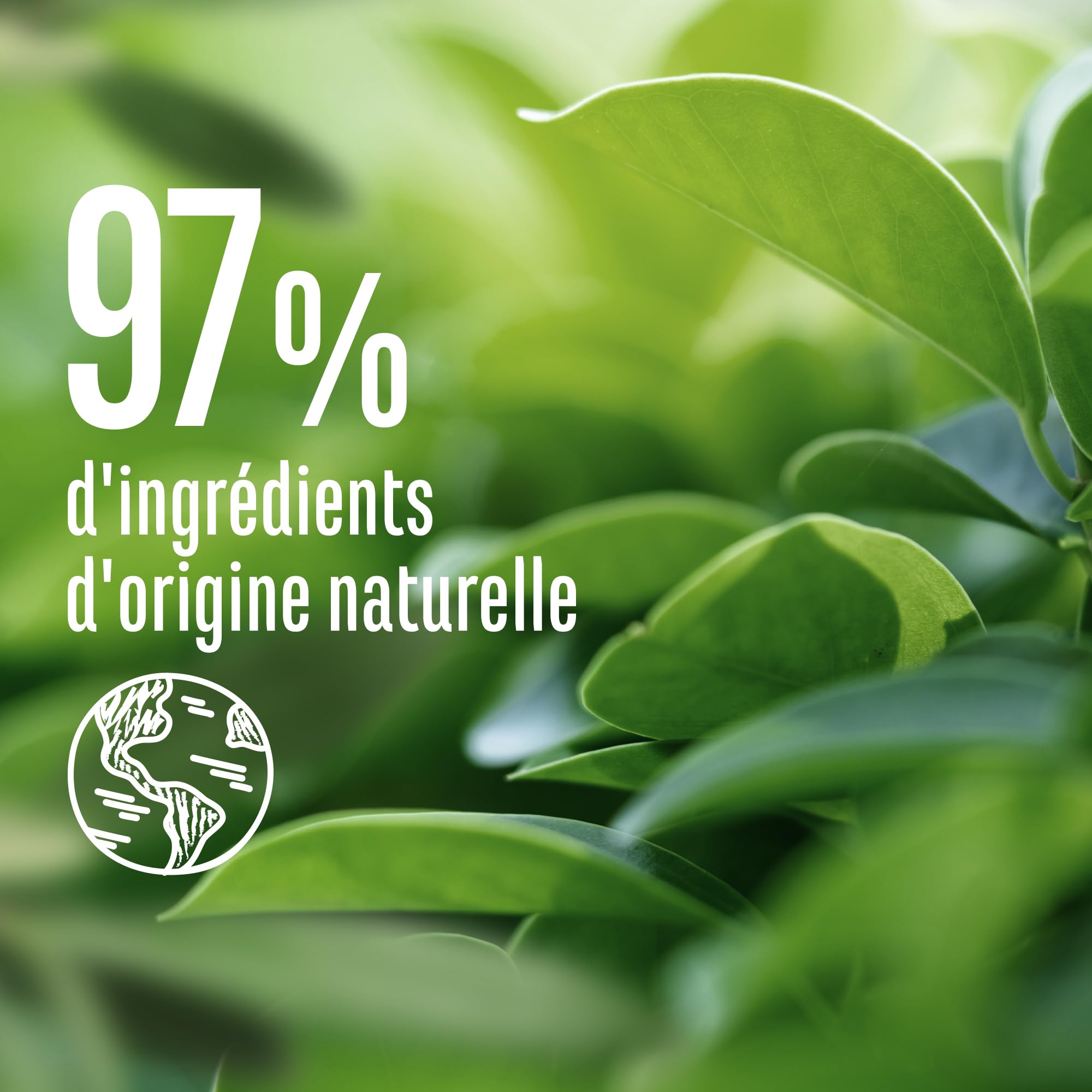 Le Petit Marseillais - Shampooing Équilibrant Purifiant Poudre d'Argile Blanche (flacon de 250 ml) – Shampoing sans silicone pour cheveux regraissant vite – 97 % d'ingrédients d'origine naturelle