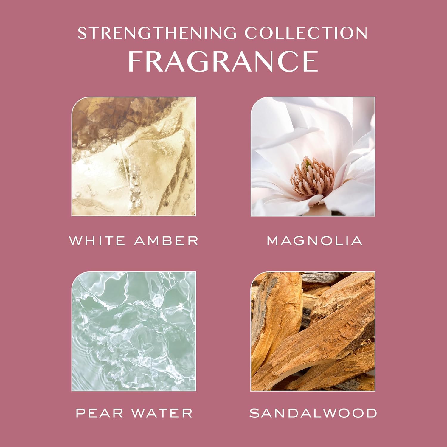 Kristin Ess Biotin Shampoo - Sulfate Free + Color Safe - Promotes Healthy Hair Growth, Strengthens + Nourishes Dry Damaged Hair - Anti-Breakage Fortifying Biotin Repair Shampoo for Volume - Vegan - Image 8