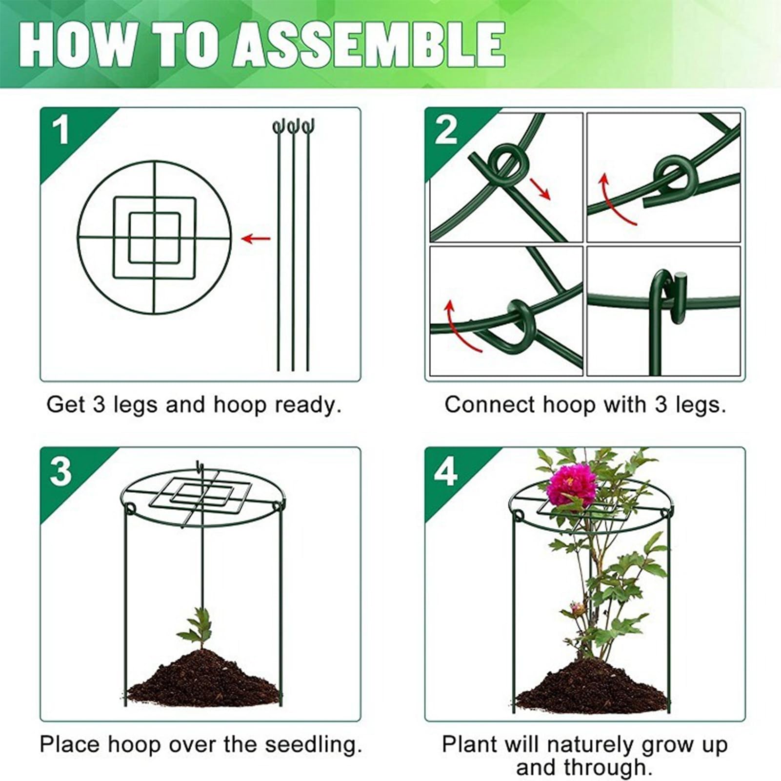 Gabbia per Peonie 4 Supporti per Piante