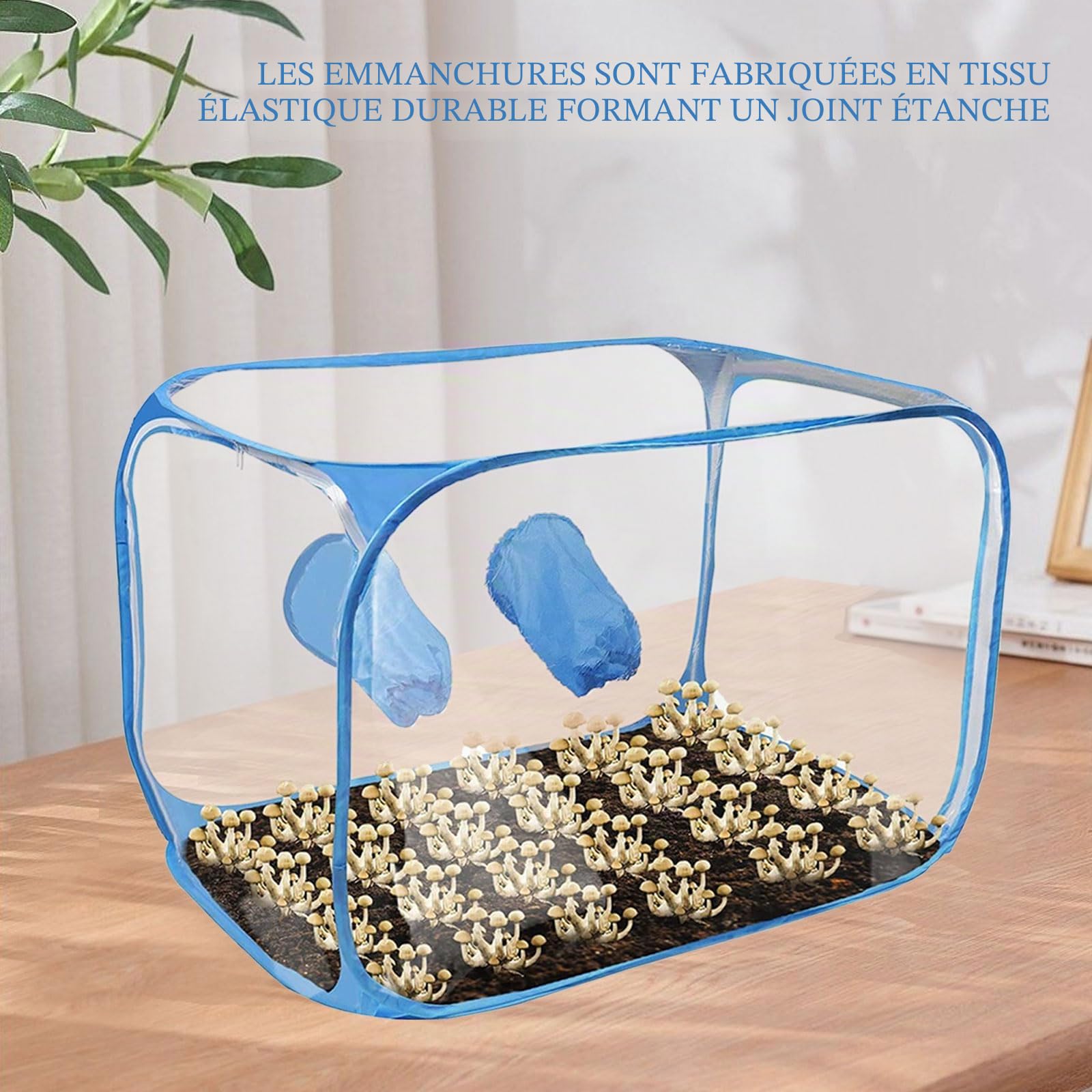 Tente de Culture de Champignons, Portable Pliable Still Air Box avec 2 Ports à Bras Kit de Culture de Champignons à la Maison, PVC Matériau Sac de Culture pour Amateurs de Champignon (Bleu)