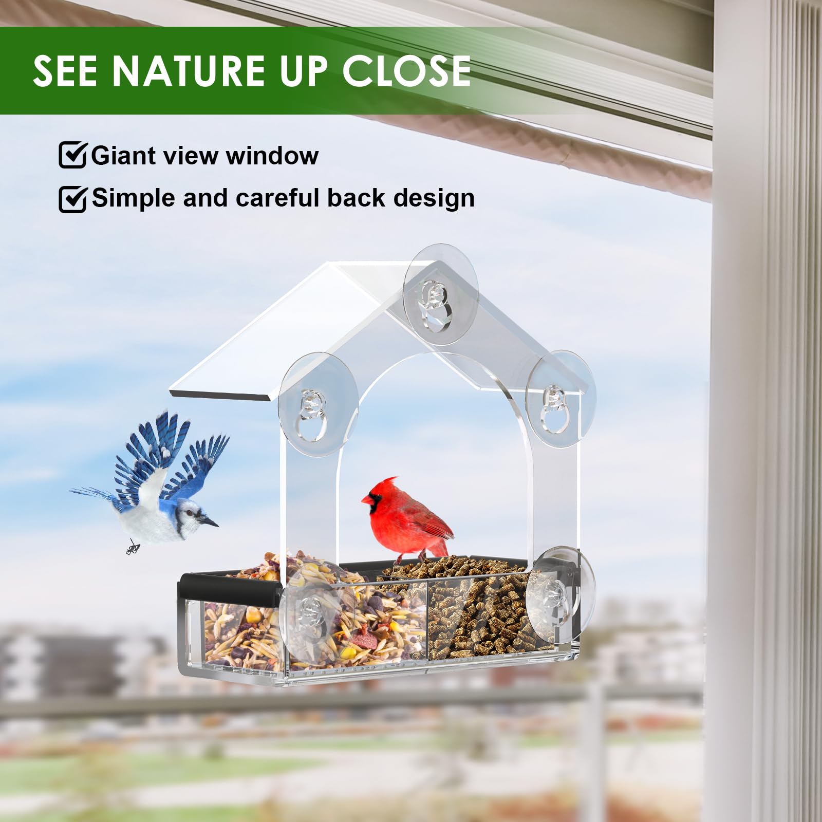 LIANGPIN Clear Window Bird Feeder with 5 Strong Suction Cups - Image 3