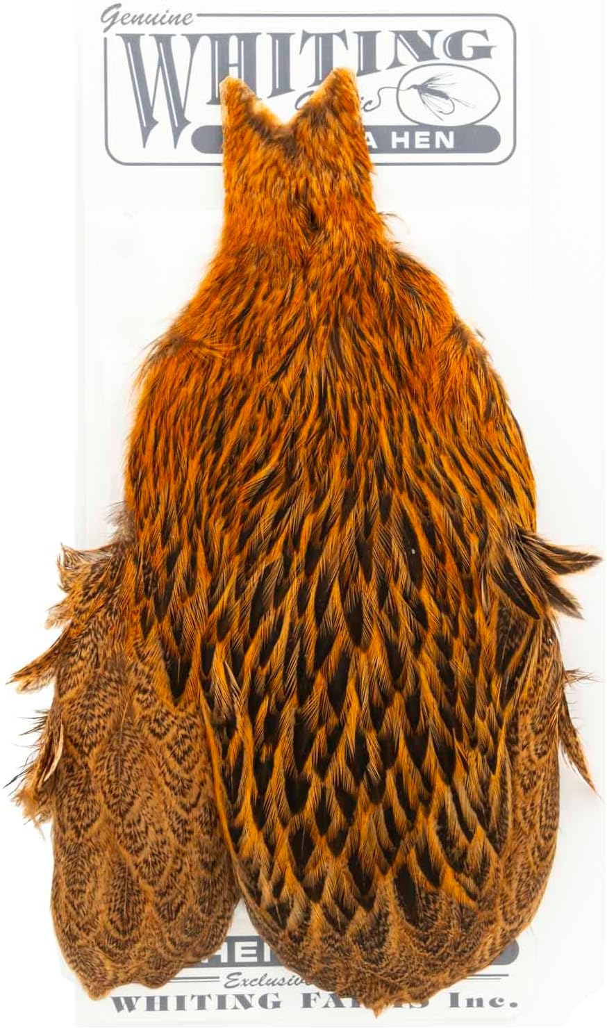 Whiting Brahma Hen Cape
