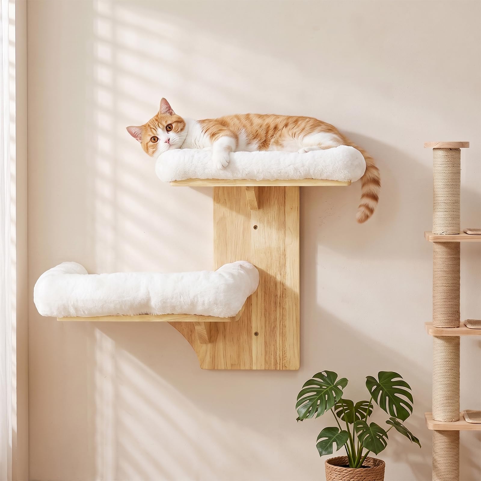 Kletterwand Katze, Doppellagig Plattform-Katzen-Wandmöbel aus Massives Gummiholz, Kleiner Katzenbaum, 40,6 cm Wandmontiertes Katzen mit Plüschbett, Wandregale zum Klettern, Spielen (Plüsch)