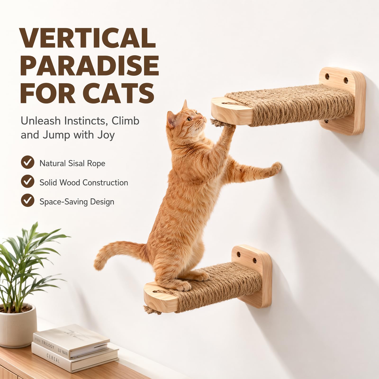 Lot de 2 escaliers muraux pour chat, mur d'escalade, planches pour chat avec corde de jute à gratter, plateforme pour chat en bois d'hévéa massif, pour escalade, jeu, capacité de charge maximale de 35