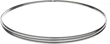 Timber Wolf Bandsaw Blade 1/4" x 150", 10 TPI