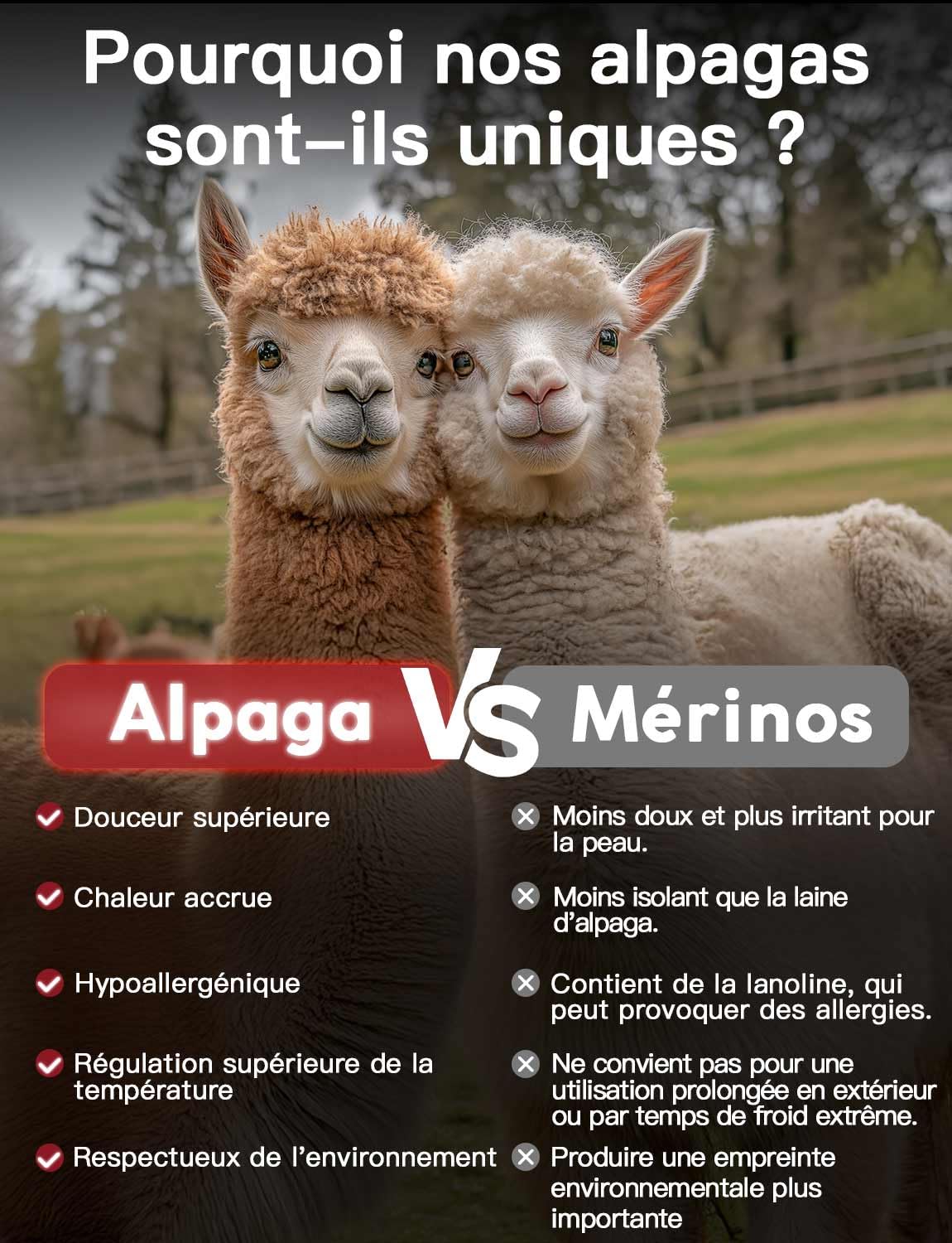 Juclise Calcetines de lana de alpaca para hombre y mujer, calcetines térmicos gruesos para clima frío, ideales para caza y senderismo, absorben la humedad