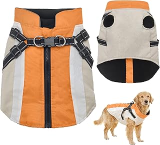 hundemantel Winter, hundemantel wasserdicht, warm, Winddicht, reflektierende Streifen, Brustgurt, für kleine und mittlere Hunde (Orange, XL)