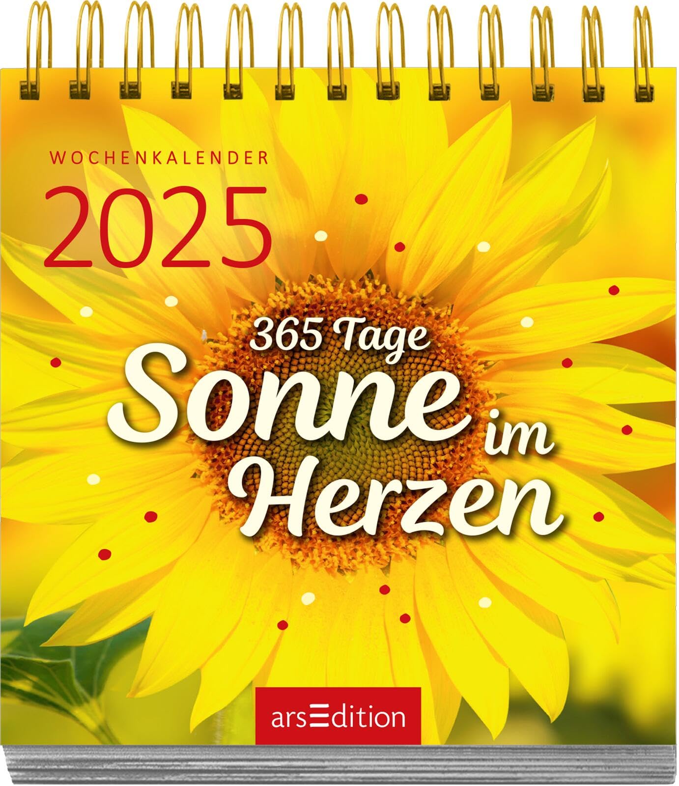 Display Mini-Wochenkalender 2025: Mit 12 x 5 Ex. | Kleine Tischkalender voller Inspirationen für jeden Tag