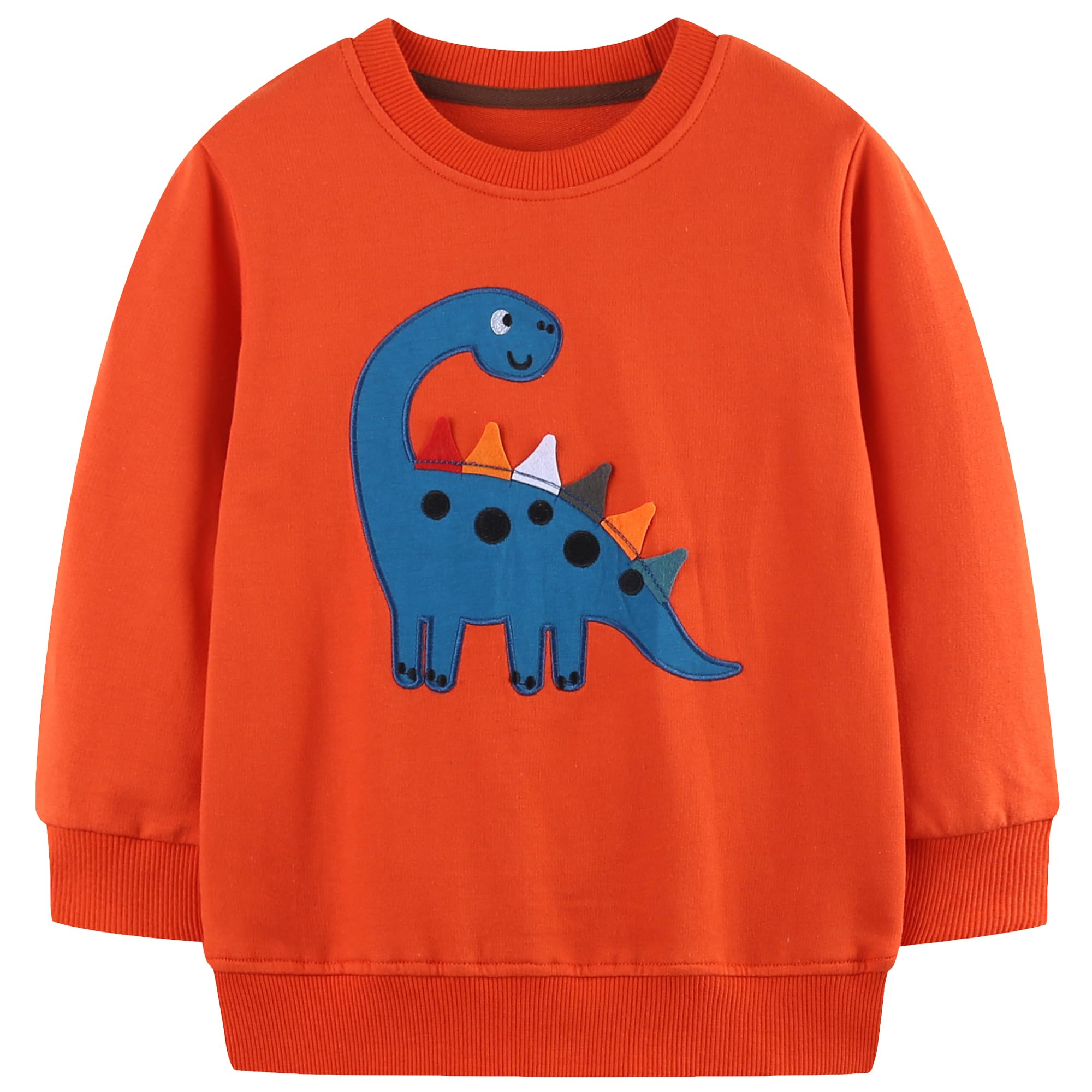 AIWUHE Toddler Cotton Sweatshirt Boys Girls Pullover Long Sleeve Tops 2-6Y