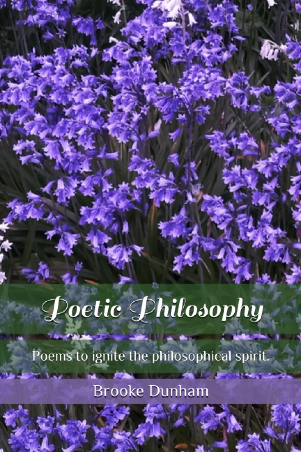 Poetic Philosophy: Poems to ignite the philosophical spirit.