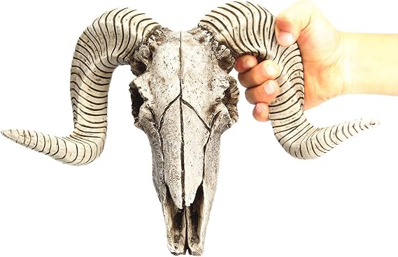 Horn Skull Wall Hanger Home Wall Decor Bar Restaurant Hotel Wall Decor, Goat Horn Skull Wall Hanger, Bull Skull Wall Hanging, Resin Skull Sculpture Art A