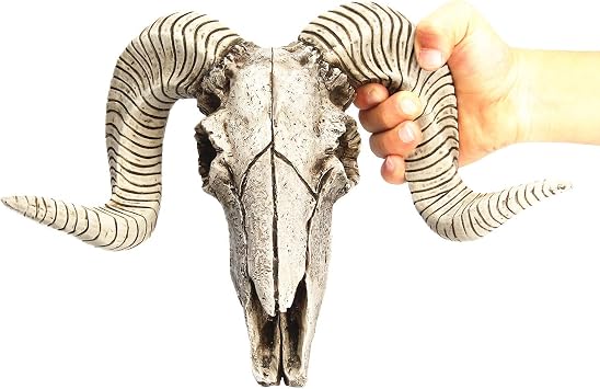 Horn Skull Wall Hanger Home Wall Decor Bar Restaurant Hotel Wall Decor, Goat Horn Skull Wall Hanger, Bull Skull Wall Hanging, Resin Skull Sculpture Art A