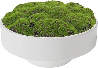 NAHARO New Moss Bowl, Handmade Ceramic Bowl. 11
