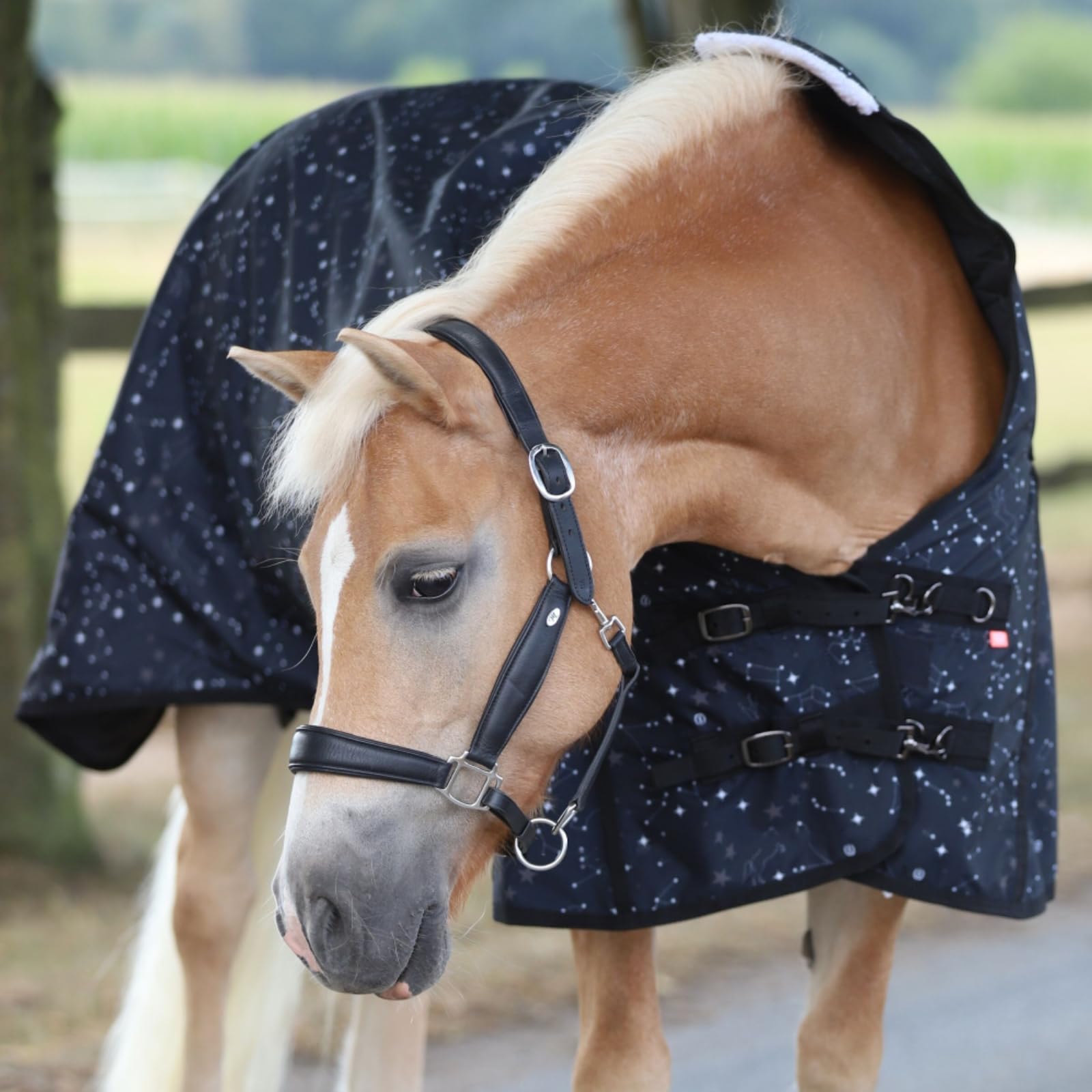 Imperial Riding - Outdoordecke 600D IRHSuper-Dry Stardust – als Regendecke, Übergangsdecke & Winterdecke – wasserdichte Weidedecke mit Fleece-Futter – Pferdedecke in Schwarz – 125cm