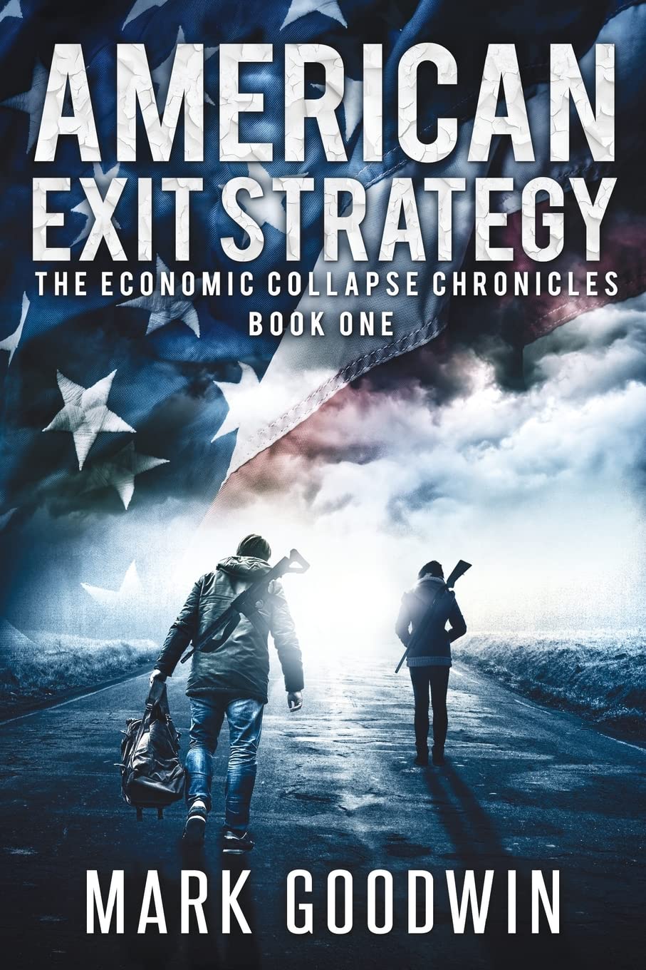 American Exit Strategy: Volume 1 (The Economic Collapse Chronicles)