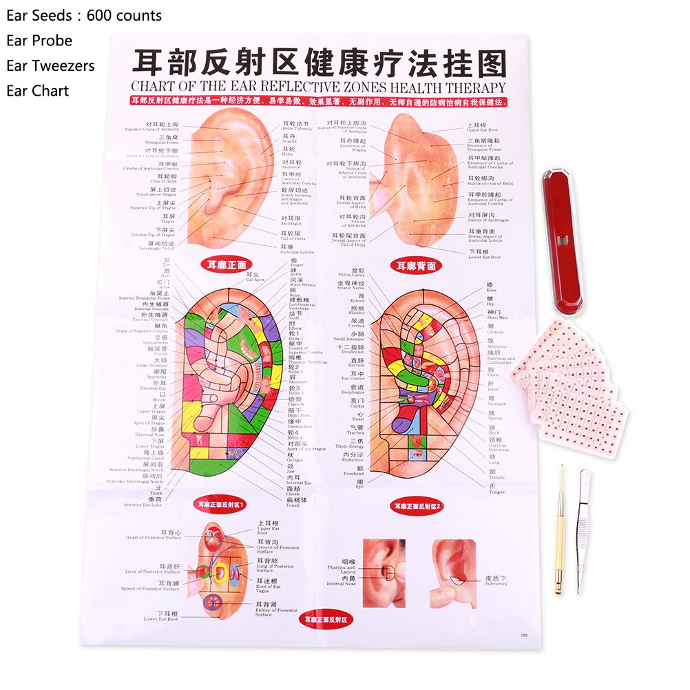 Yiphates 600 Counts Ear Seed Kit, 1Pcs Probe, 1Pcs Acupuncture Chart, 1Pcs Tweezers : Health & Household