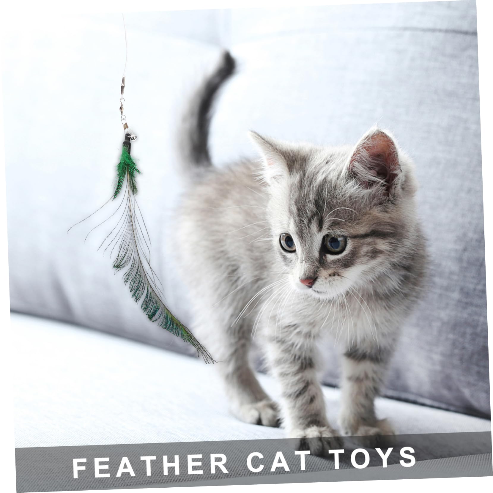 Kisangel 24pièces Jouets Interactifs pour Chat Canne Plumes Et Têtes Remplaçables Kit De Divertissement pour Chat