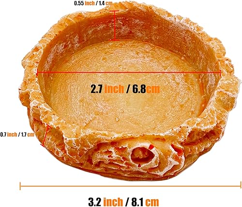 Miniatura 14 de Plato pequeño de comida para reptiles, paquete de 2 cuencos de comida para reptiles para dragón barbudo, gecko, lagarto, rana, cangrejo ermitaño