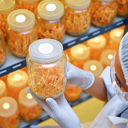 Miniatura 9 de 64 unids 0.787 in diámetro sintético filtro disco hidrófobo PTFE membrana 0.3um poro tamaño adhesivo fuerte para el cultivo de hongos