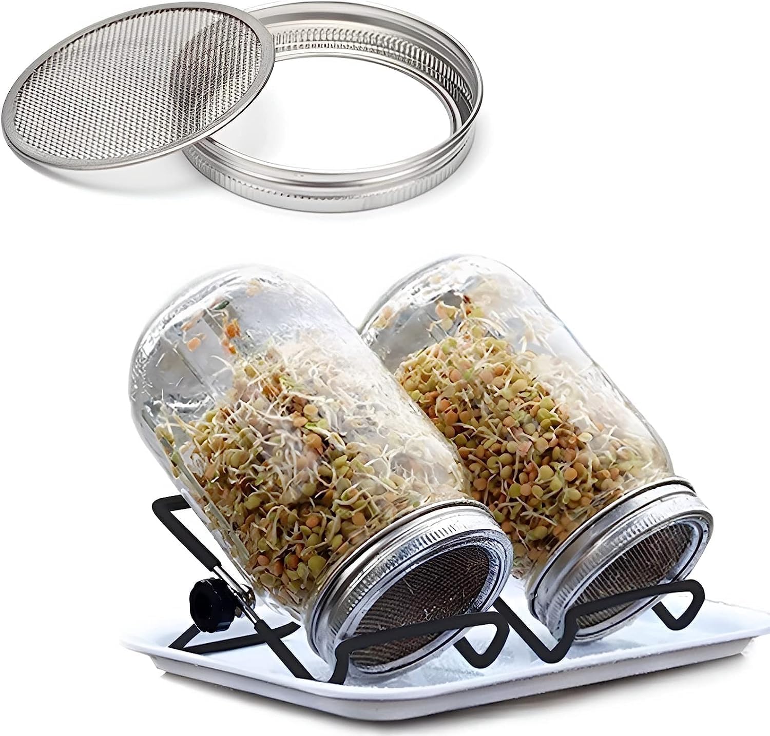 Erweicet 2PCS Mason Jar Sprouting Kit, 32oz Complete Wide Mouth Mason Jar Sprouting Kit with Stainless Steel Sprouter Lids Stand &Tray Sprouting Jars for Bean Broccoli Alfalfa Radish Sunflower Seed