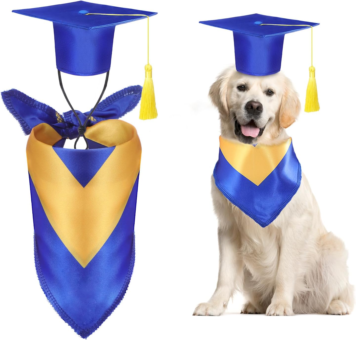 Traje de Graduación para Perro Huhumy con Gorro y Pañoleta Azul Talla L