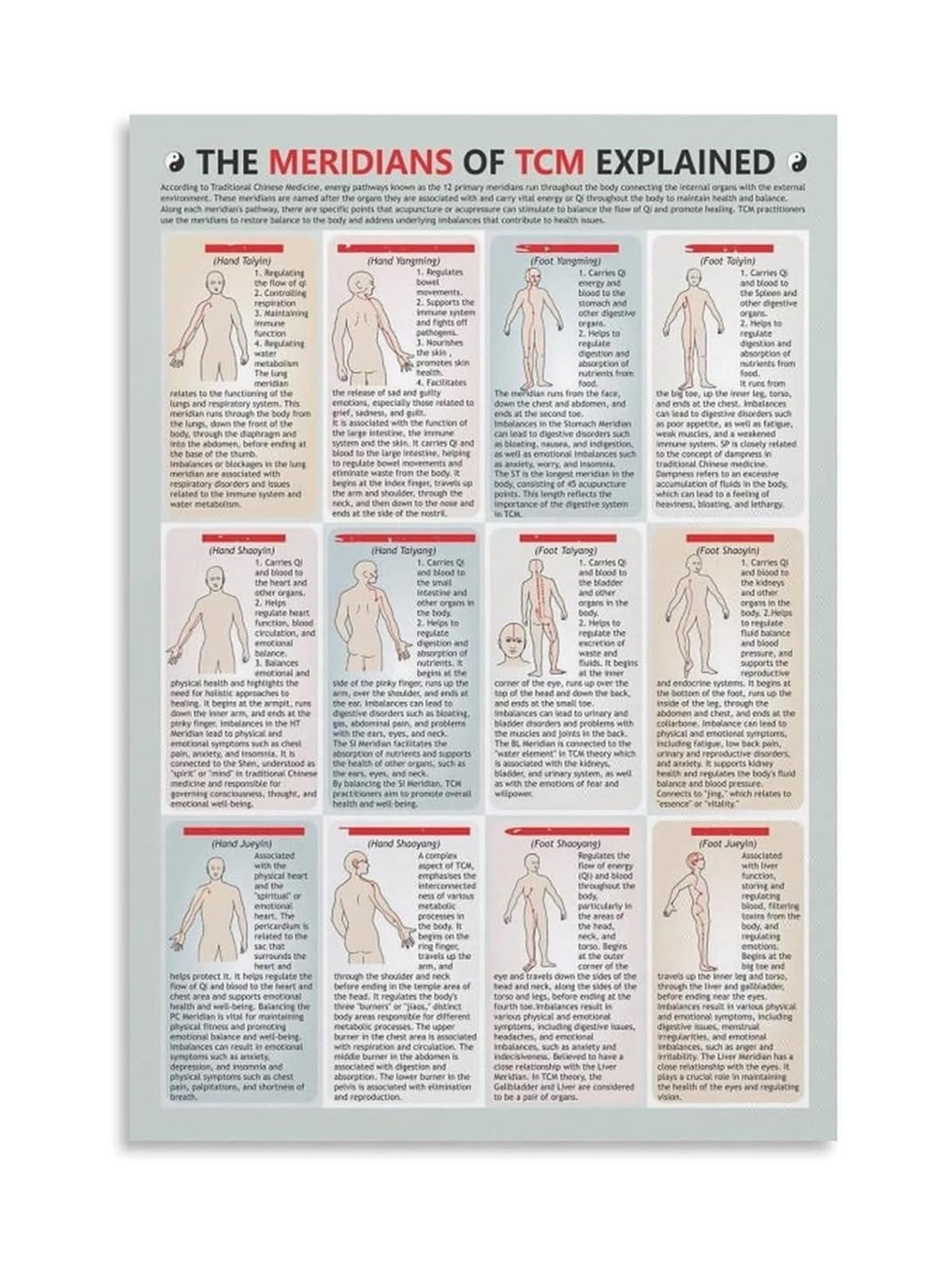 VWWJCCRO TCM Body Chart Poster of Acupuncture Meridians 12 Primary Channels and Acupressure Points Locations Chinese Medicine Pathways Canvas Wall-Art(Unframed,12x18inch(30x45cm))
