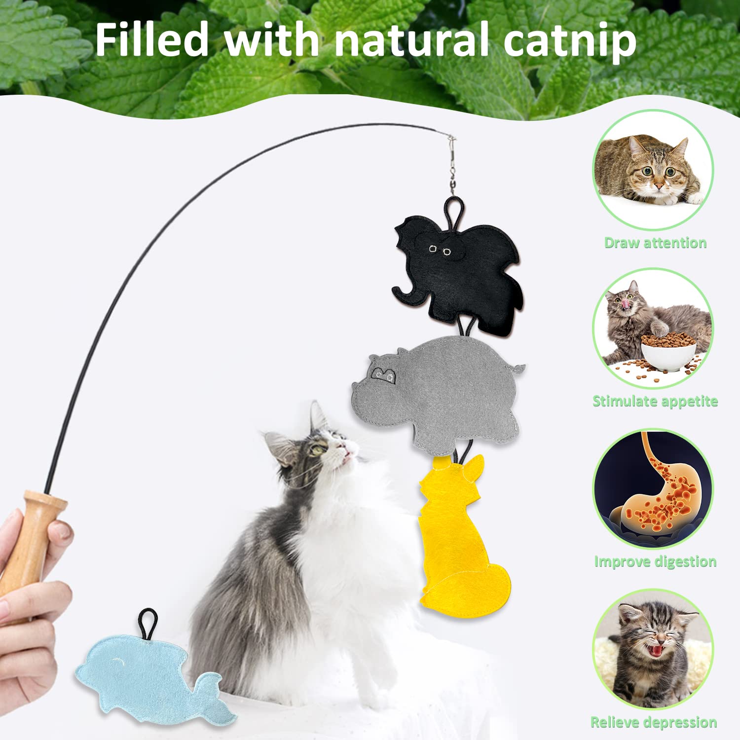 Questi Sono I Migliori Giochi Per Gatti Con Erba Gatta, Provare Per - Foto 12