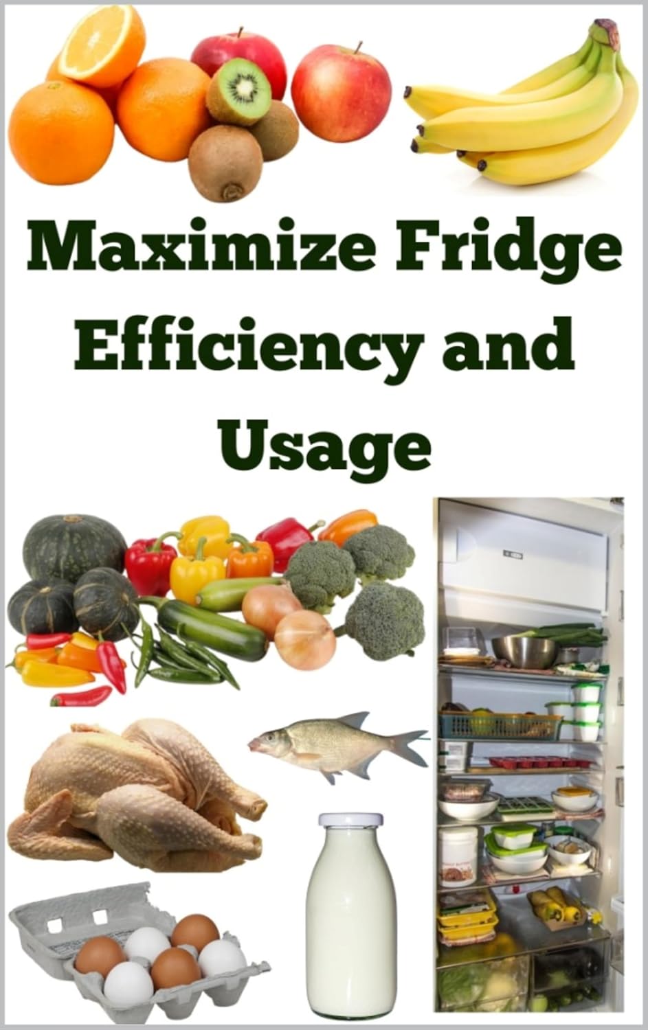 Maximize Fridge Efficiency and Usage
