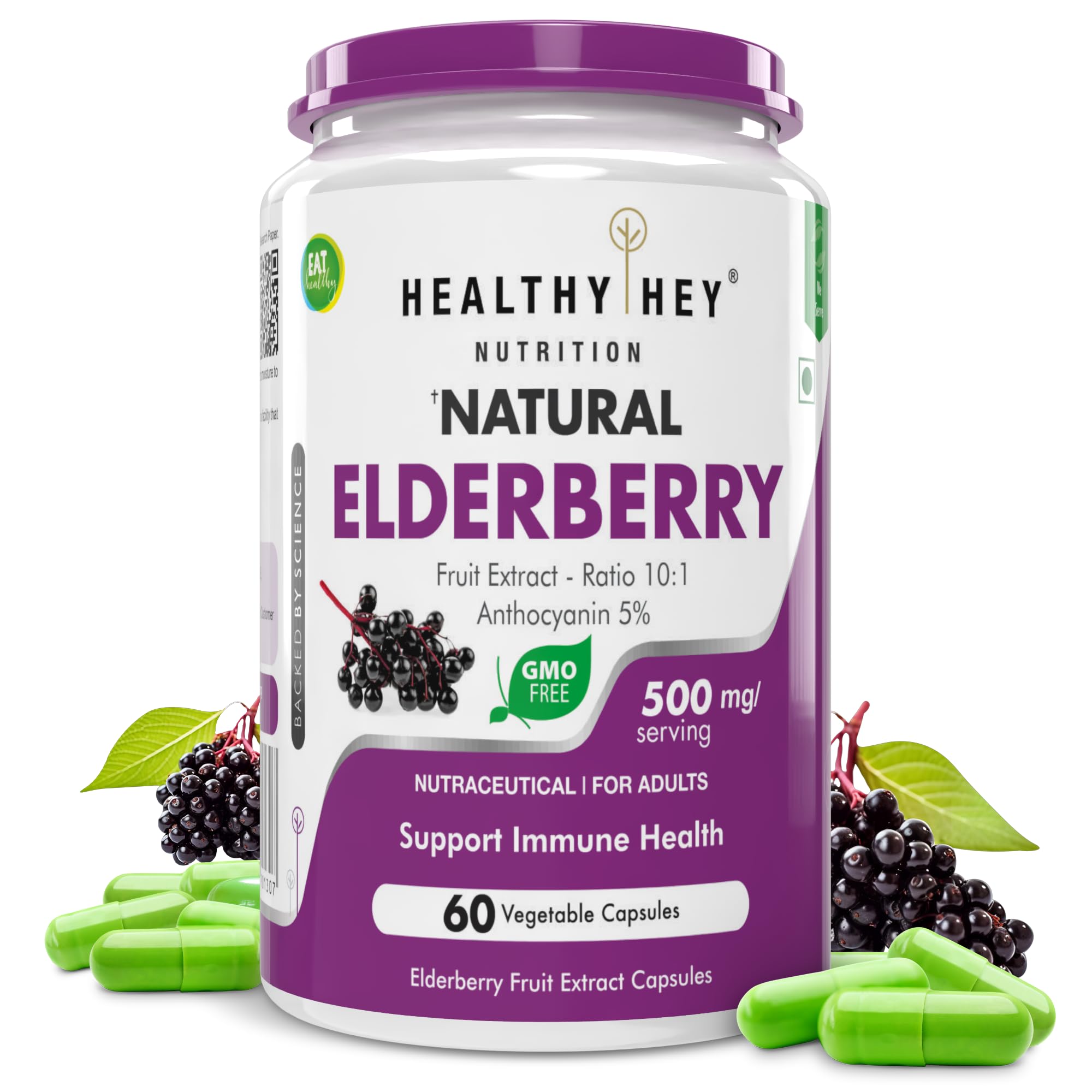 HealthyHey Nutrition Natural Elderberry Fruit Extract,60 vegetable capsules