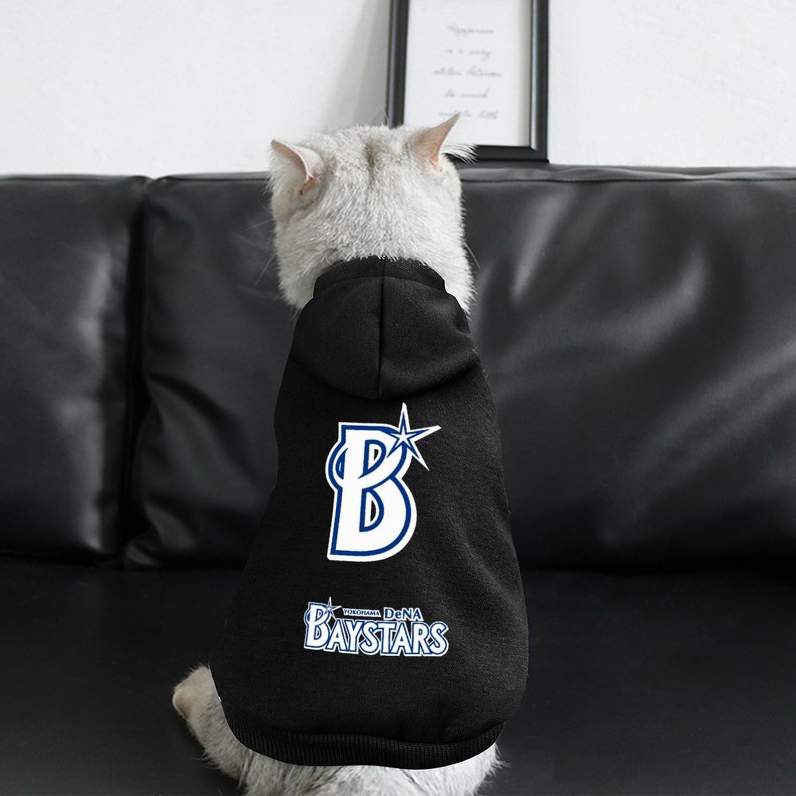 Amazon | ペット服 横浜DeNAベイスターズ 犬服 猫服 パーカー ドッグ