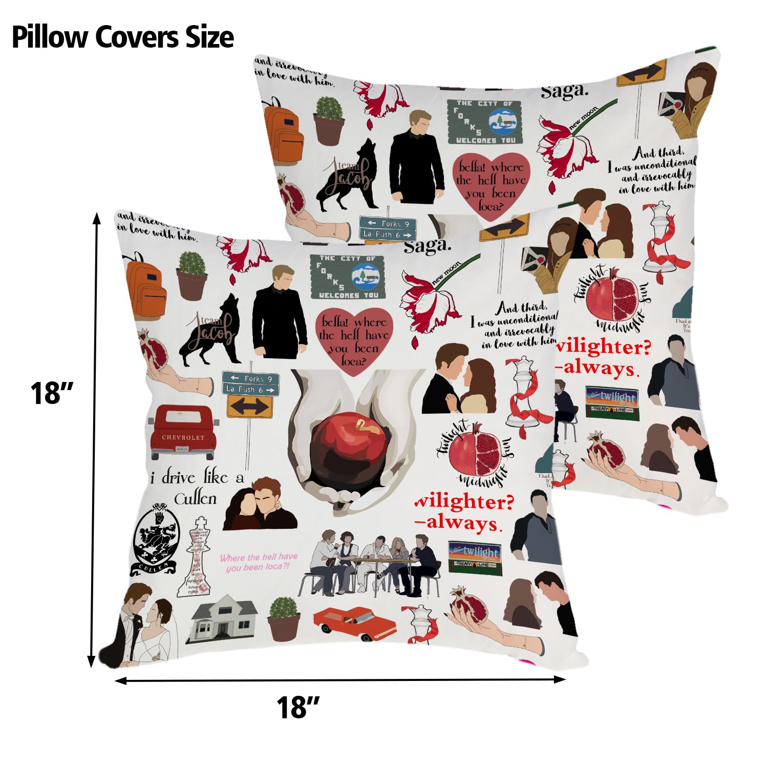 RBAFAO Movie Inspired Gifts Edward Girl Gift Forks Washington Gift Vampire Lover Pillow Cover City of Forks Gifts, Pillow Covers Cushion Cover Sofa Home Decor