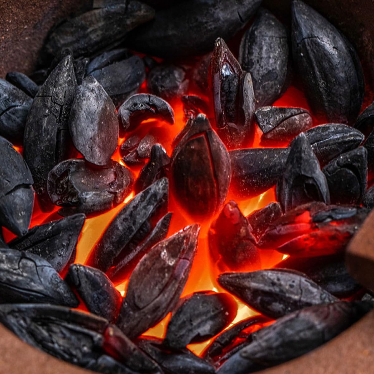 SHINEOFI Carbone di Legna di Ulivo Naturale Nero 500g Sacchetto per Barbecue Outdoor Efficiente e Duraturo per Campeggio e Uso Domestico in Diverse Condizioni Climatiche