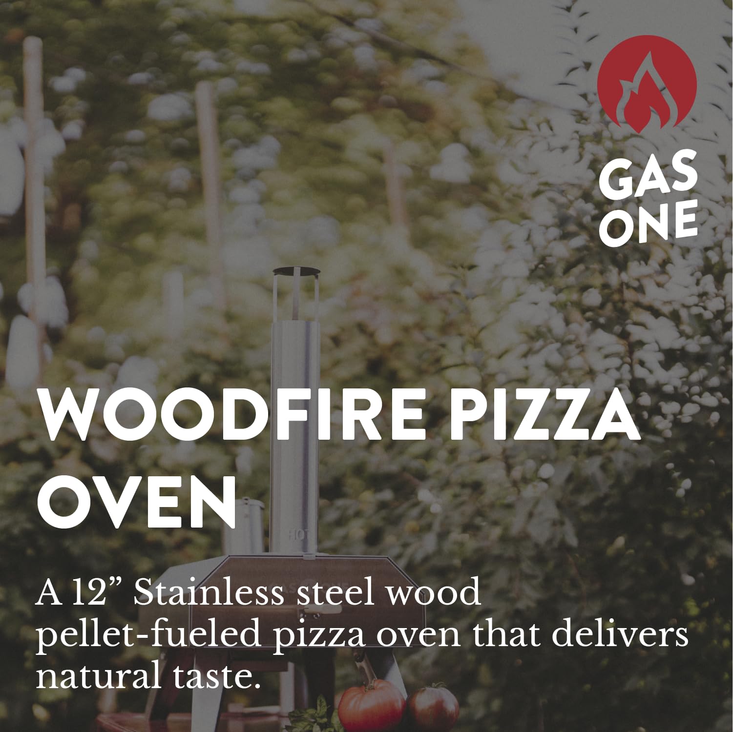 GasOne Horno de pizza al aire libre – Horno de pizza portátil de pellets de madera de 12 pulgadas – Horno de pizza para fiestas, RV, camping – Pizza Maker – Cocina de pizza de acero inoxidable