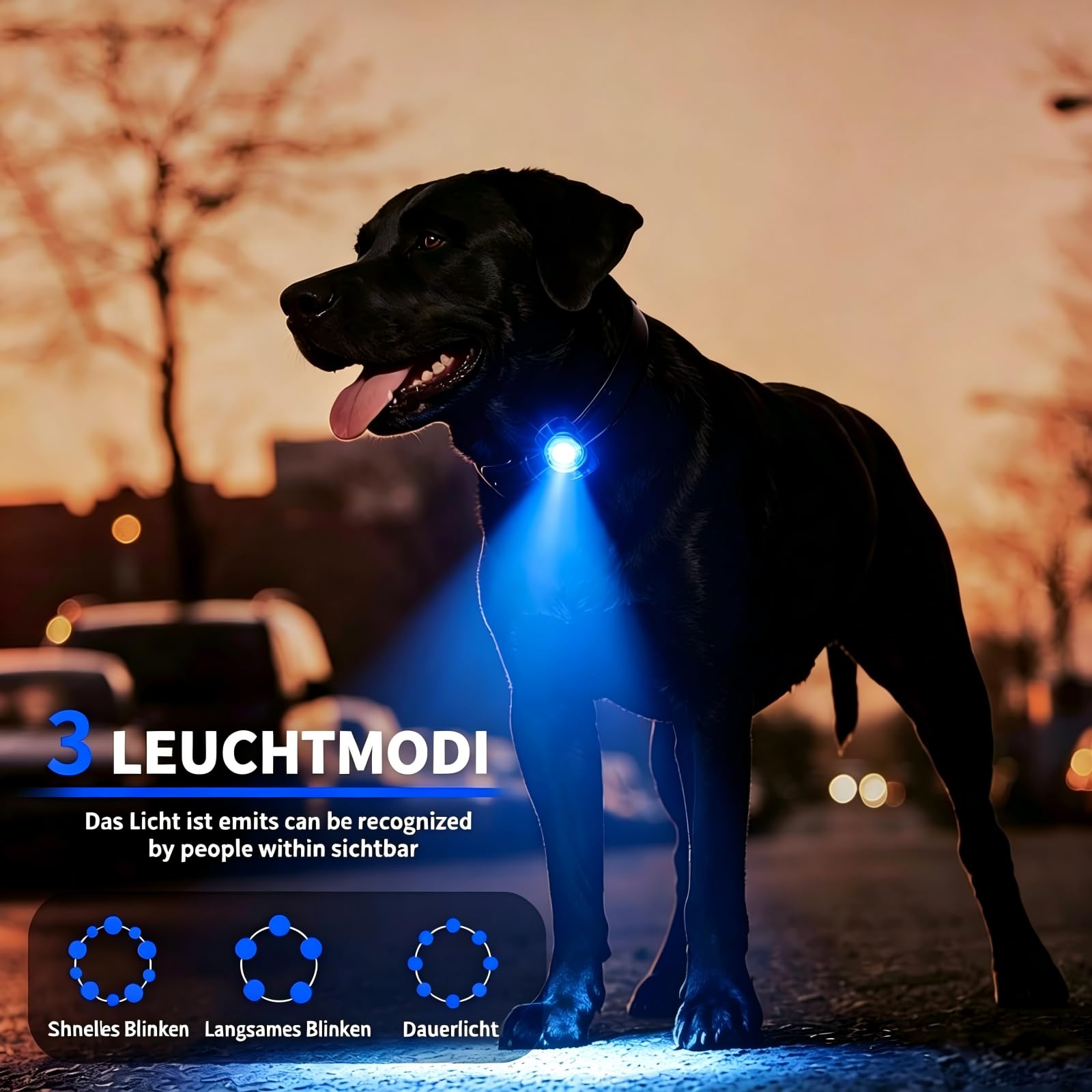 LaRoo Luz LED intermitente de seguridad para perros, gatos, luz LED colgante, llavero con 3 modos de parpadeo, luz de seguridad para pasear con el perro y deportes al aire libre, recargable, All,