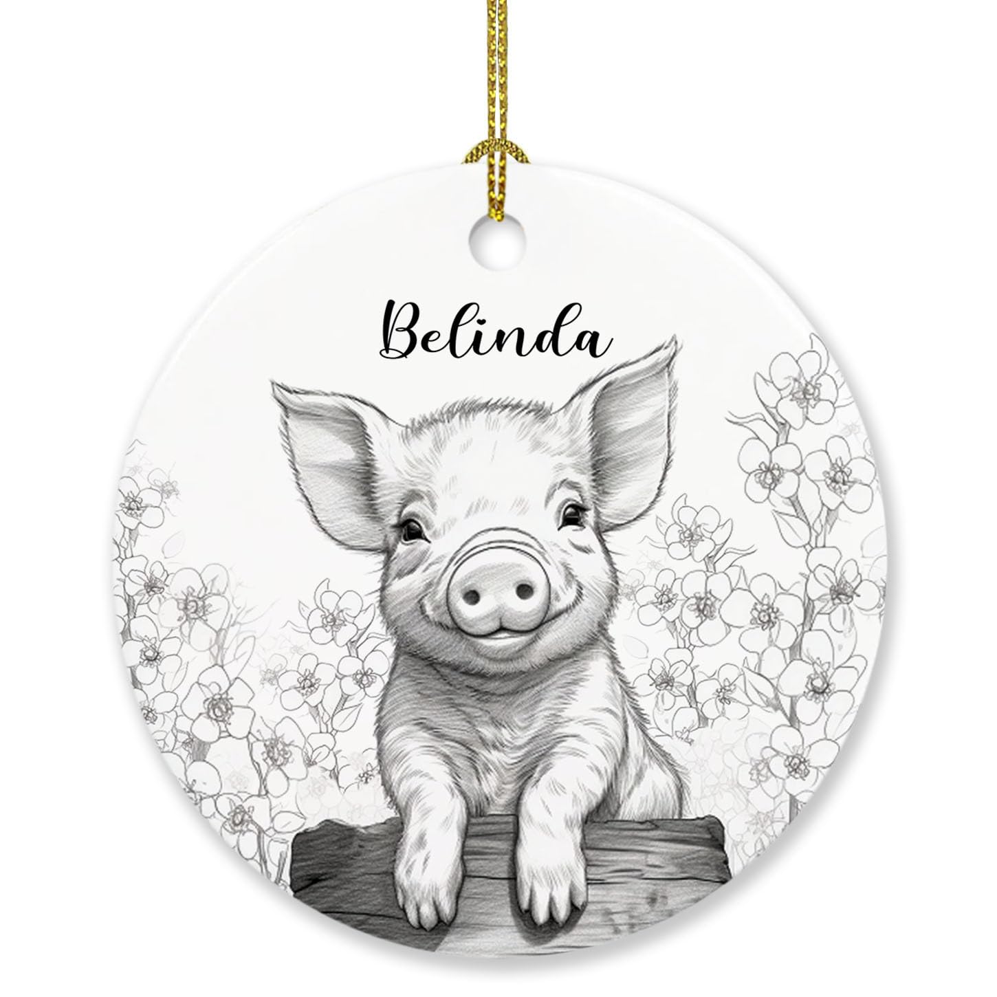 Personalized Pig Christmas Ornament Gift, Drawing Pencil Pig Ornaments Gifts for Men Women Pig Lovers, Cute Pig Ornament Christmas 2025, Customized Name Pig Lover Ornaments Keepsakes Xmas Tree Gift