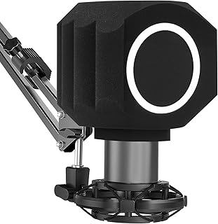 Professional Pop Filter Isolation Ball For Microphone，Microphone Isolation Ball Effectively Reduces Noise And Reflection（Double Layer Filtration, Black）