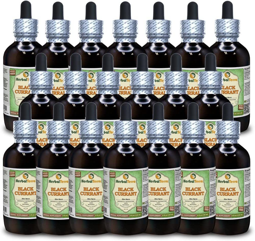 Black Currant (Ribes nigrum) Glycerite, Dried Leaves Alcohol-Free Liquid Extract (Brand Name: HerbalTerra, Proudly Made in USA) 2x2 fl.oz (2x60 ml)